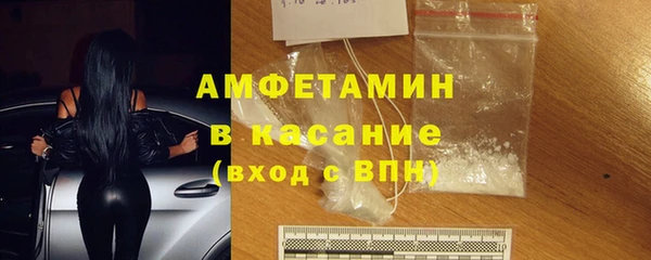прущие грибы Белокуриха