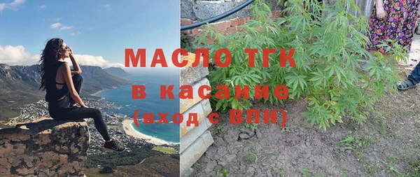 шишки Белоозёрский