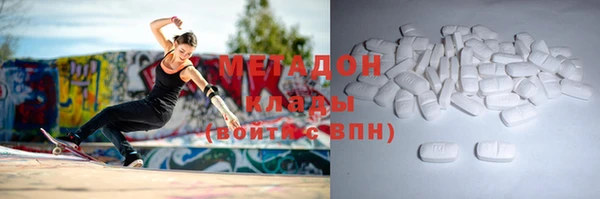прущие грибы Белокуриха