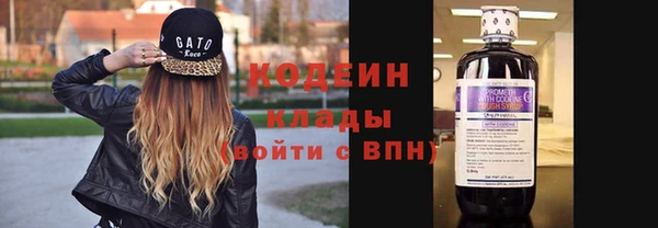 прущие грибы Белокуриха