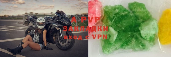 шишки Белоозёрский