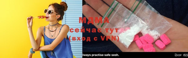 прущие грибы Белокуриха