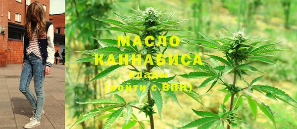 метадон Богданович