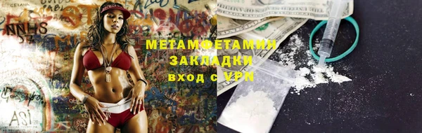 шишки Белоозёрский