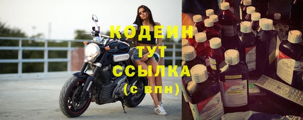 шишки Белоозёрский